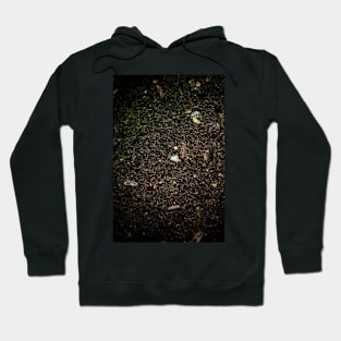 Staring at The Ground Hoodie